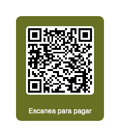 QR pago singles