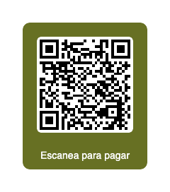 QR pago singles