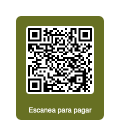 QR pago singles